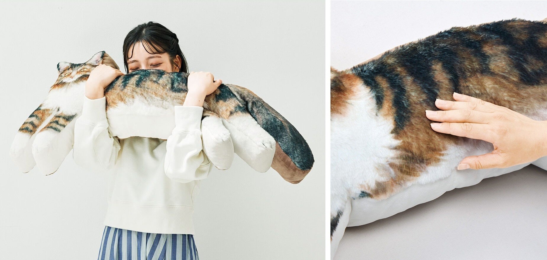 【全長約100cm】フェリシモが世界最大級の猫「メインクーン」の実寸大抱きぐるみを商品化へ、11/4までエントリー予約受付