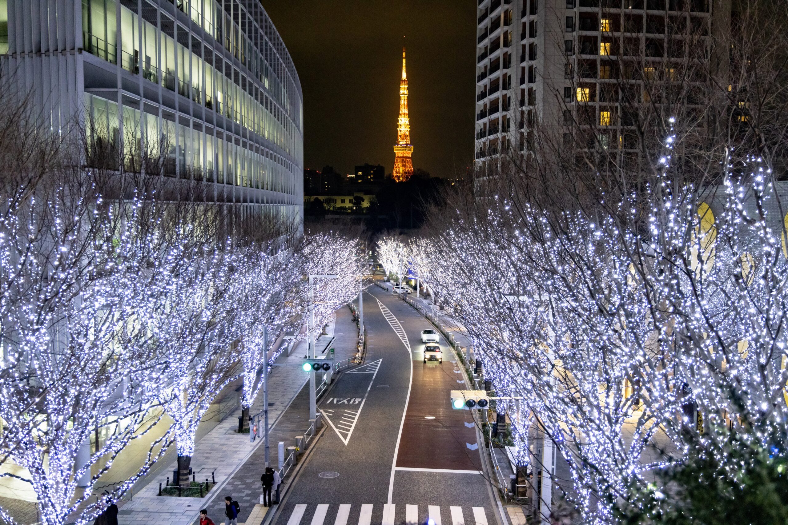 六本木ヒルズ「けやき坂イルミネーション」の並木を白と青のLEDが彩り、奥に東京タワーが見える様子(過去の開催時)